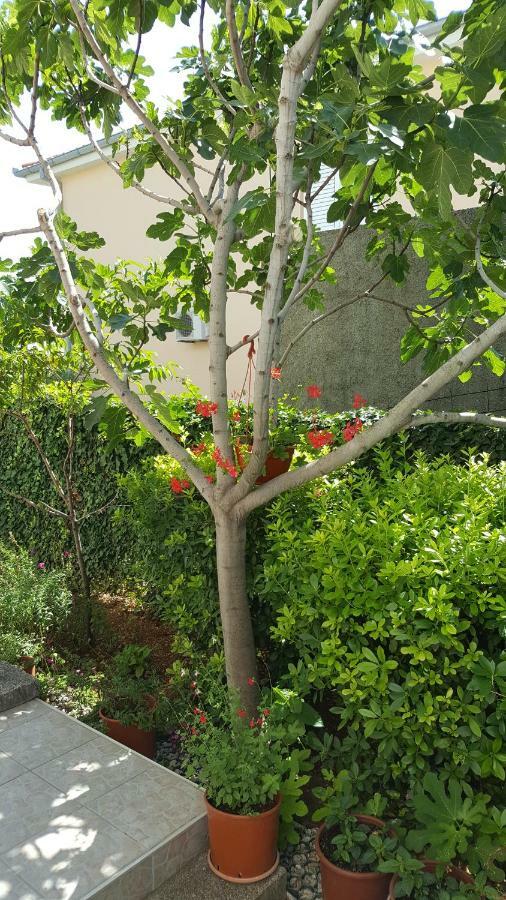 Guest House Dijana Krk Town Exterior foto